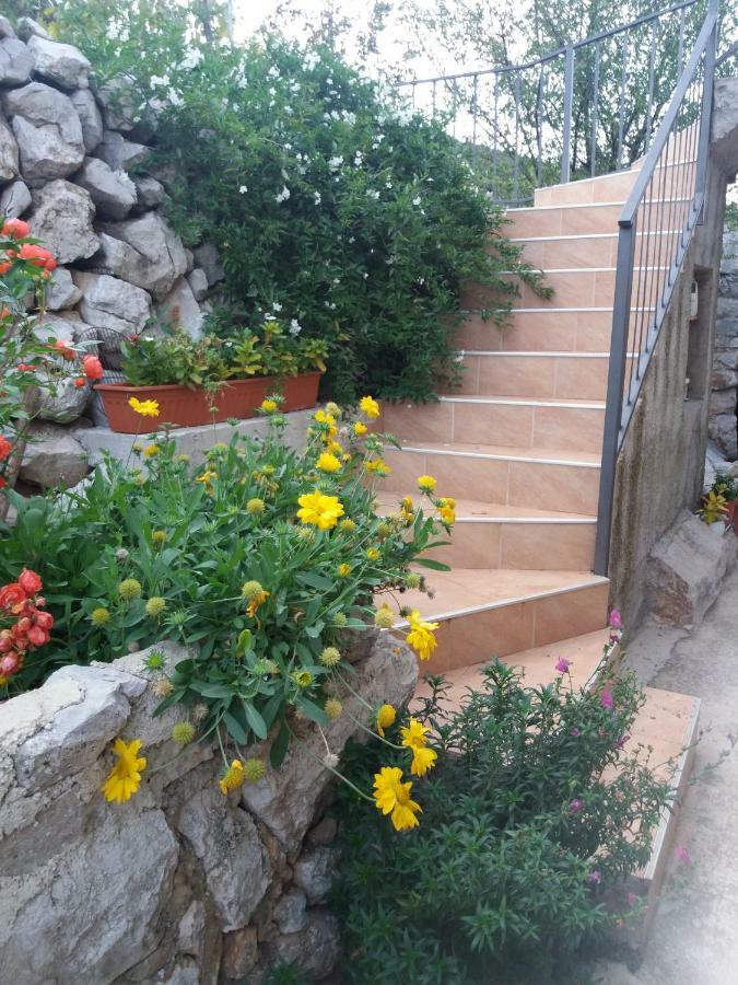 Apartmani Valun1 エクステリア 写真